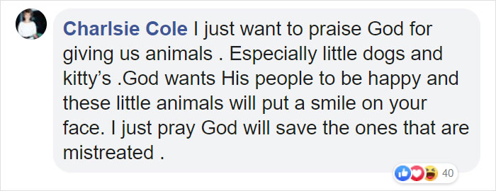 This Dog Shows His Dad How Proud He Is Of His Stick Collection This Dog Shows His Dad How Proud He Is Of His Stick Collection