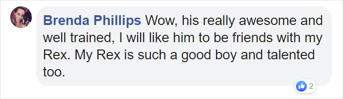 This Dog Shows His Dad How Proud He Is Of His Stick Collection