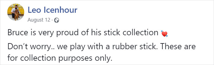 This Dog Shows His Dad How Proud He Is Of His Stick Collection