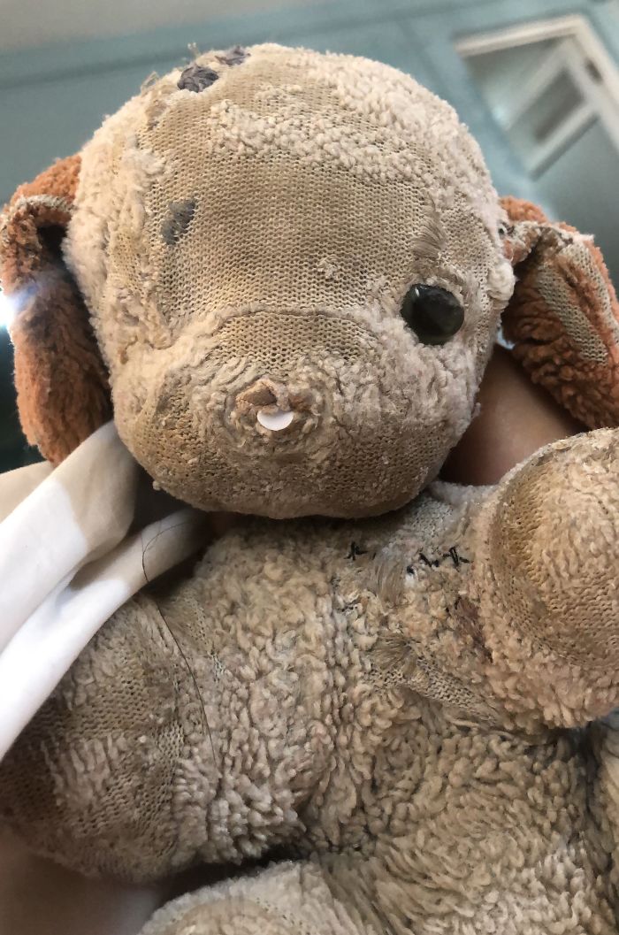 Meet Doggie. My Best Friend & Soul Buddy Since I Was 18 Months. Birthday Gift From Dad