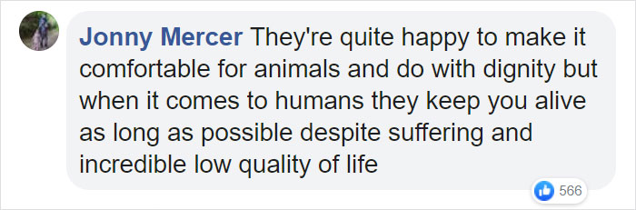 Elderly Lion Couple That Were Soulmates Are Put To Sleep At The Same Time So Neither Has To Live Alone Elderly Lion Couple That Were Soulmates Are Put To Sleep At The Same Time So Neither Has To Live Alone
