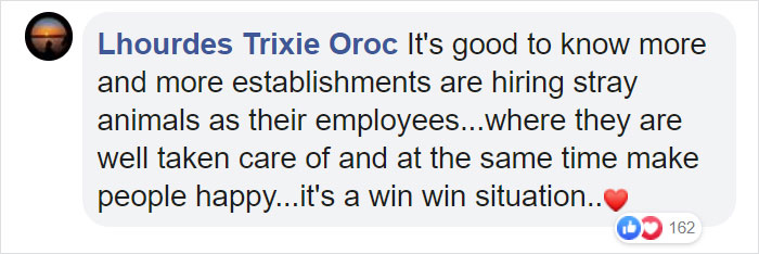 Cat Hangs Around A Hospital For A Year, Ends Up Getting Hired As A Security Cat Cat Hangs Around A Hospital For A Year, Ends Up Getting Hired As A Security Cat