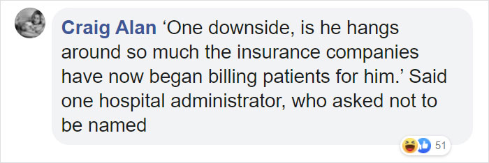 Cat Hangs Around A Hospital For A Year, Ends Up Getting Hired As A Security Cat Cat Hangs Around A Hospital For A Year, Ends Up Getting Hired As A Security Cat