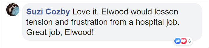 Cat Hangs Around A Hospital For A Year, Ends Up Getting Hired As A Security Cat Cat Hangs Around A Hospital For A Year, Ends Up Getting Hired As A Security Cat