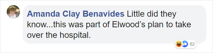 Cat Hangs Around A Hospital For A Year, Ends Up Getting Hired As A Security Cat Cat Hangs Around A Hospital For A Year, Ends Up Getting Hired As A Security Cat