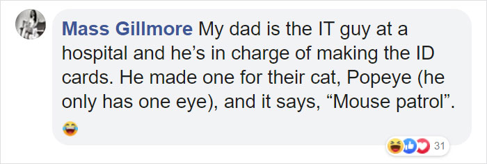 Cat Hangs Around A Hospital For A Year, Ends Up Getting Hired As A Security Cat Cat Hangs Around A Hospital For A Year, Ends Up Getting Hired As A Security Cat