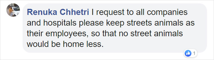 Cat Hangs Around A Hospital For A Year, Ends Up Getting Hired As A Security Cat Cat Hangs Around A Hospital For A Year, Ends Up Getting Hired As A Security Cat