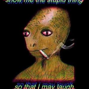 tavianiwininger avatar