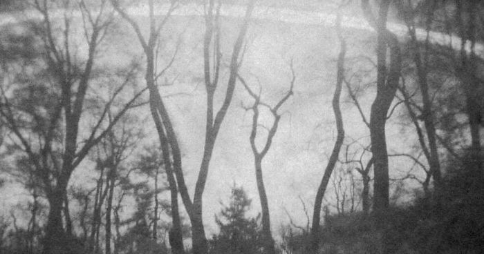 Pandas, What Is Your Favorite Hobby? (Ended)