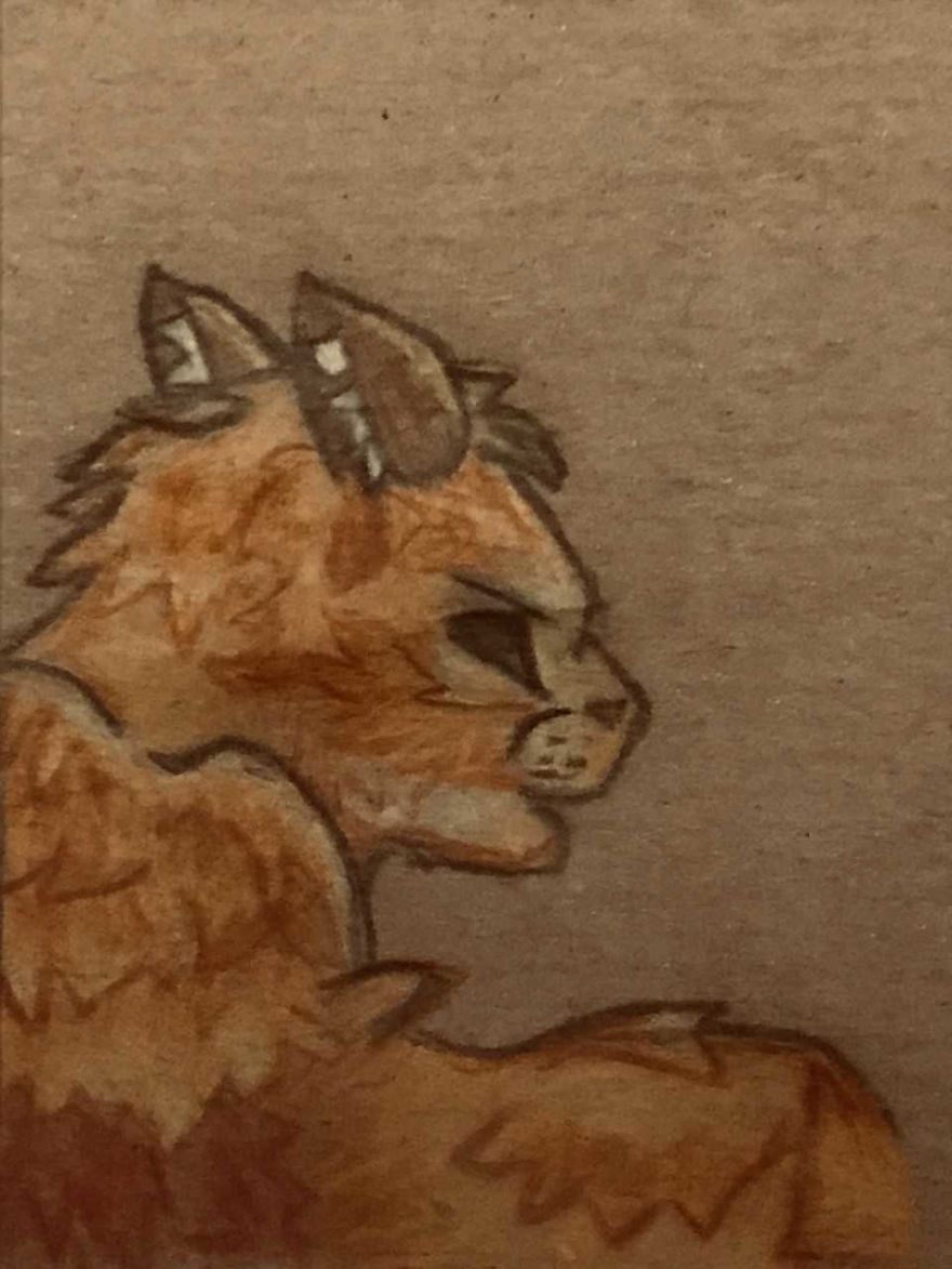 My Art Skills Have Improved During Lockdown