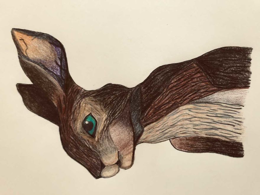 My Art Skills Have Improved During Lockdown