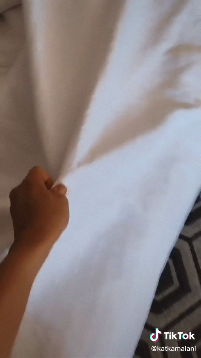 Flight Attendant Shares What Hotel Hacks She Knows, Goes Viral On TikTok Flight Attendant Shares What Hotel Hacks She Knows, Goes Viral On TikTok