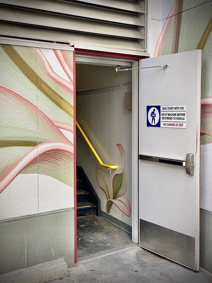 Artist Paints A Mesmerizing Flower Mural That Spreads Over 6 Surfaces