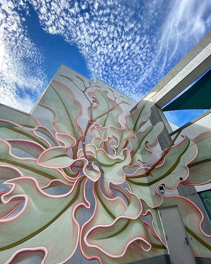 Artist Paints A Mesmerizing Flower Mural That Spreads Over 6 Surfaces