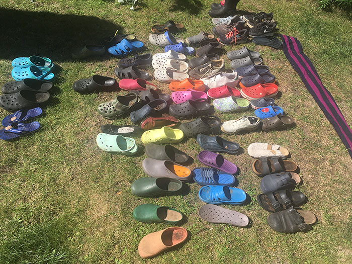 Fox From Berlin Gets Unmasked As A Crocs-Thief With A Collection Of Over 100 Stolen Shoes And People Find It Hilarious