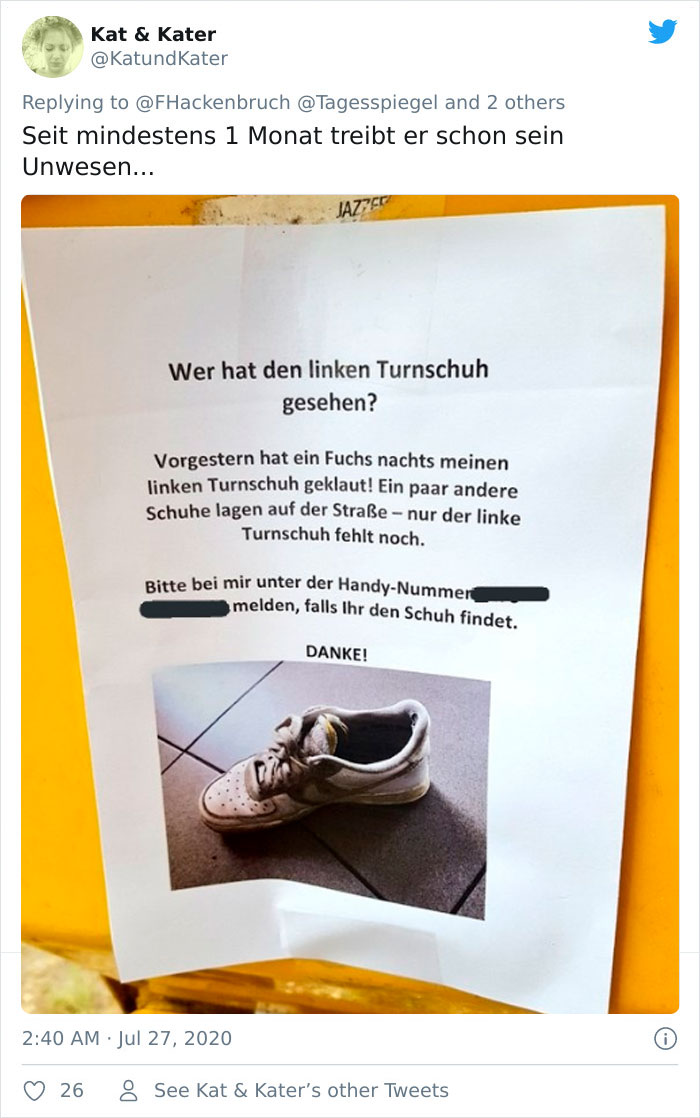 Fox From Berlin Gets Unmasked As A Crocs-Thief With A Collection Of Over 100 Stolen Shoes And People Find It Hilarious