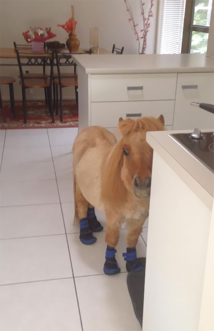 Dad Felt Bad Because It Was Forecasted To Storm. Guess We Will All Be Having Lunch Together Then