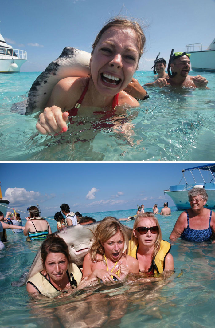The Stingray Photobomb