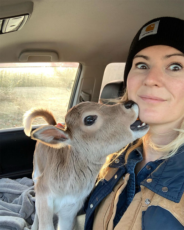 It’s Gonna Be A Looong Car Ride