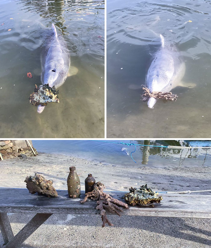 The Pod Has Been Bringing Us Regular Gifts, Showing Us How Much They’re Missing The Public Interaction And Attention