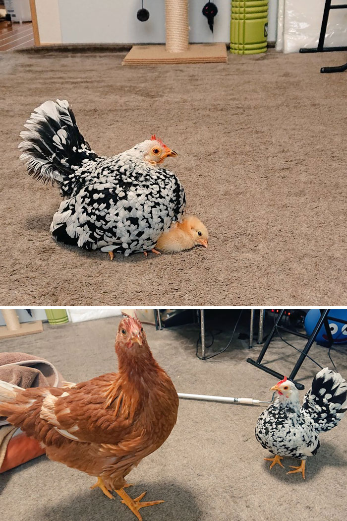 Bigger Than Mommy Now