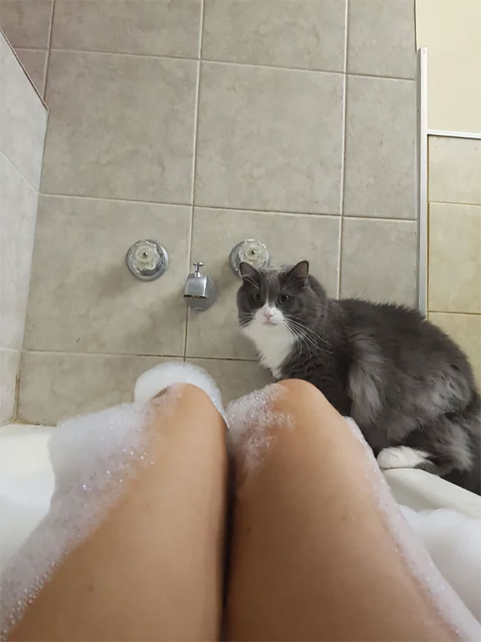 If Someone Told Me Before The Friend That Eats Ice Cream With Me While I Cry Off A Bad Day In The Tub, Would Be My Cat. I'd Say They Were Nuts. Until I Met Steve