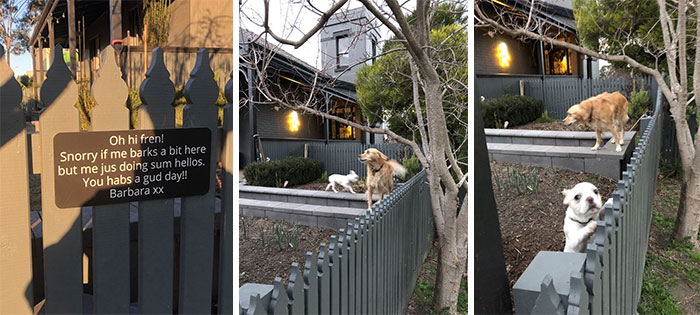 About A Week Ago As I Was Taking A Stroll I Saw This Brilliant Sign And Was Disappointed With The Lack Of Dogs That I Witnessed Alongside It. Ever Since I Have Been Frequenting This Street, Full Of Hope Of The Day That I'll Get To Meet The Enigma That Is Barbara. Today Was The Day And She Came Very Excitedly And Very Loudly With A Bonus Little Friend!! Best. Iso. Walk. Ever. Soz For The Shakey Pics, I Was Walking And Photographing At The Same Time. Melbourne, Australia