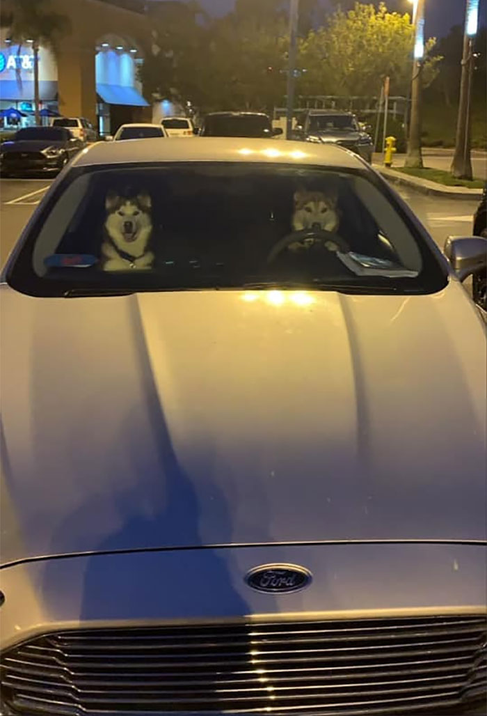 Alert: Suspicious Couple Possibly Selling Marijuana Cigarettes