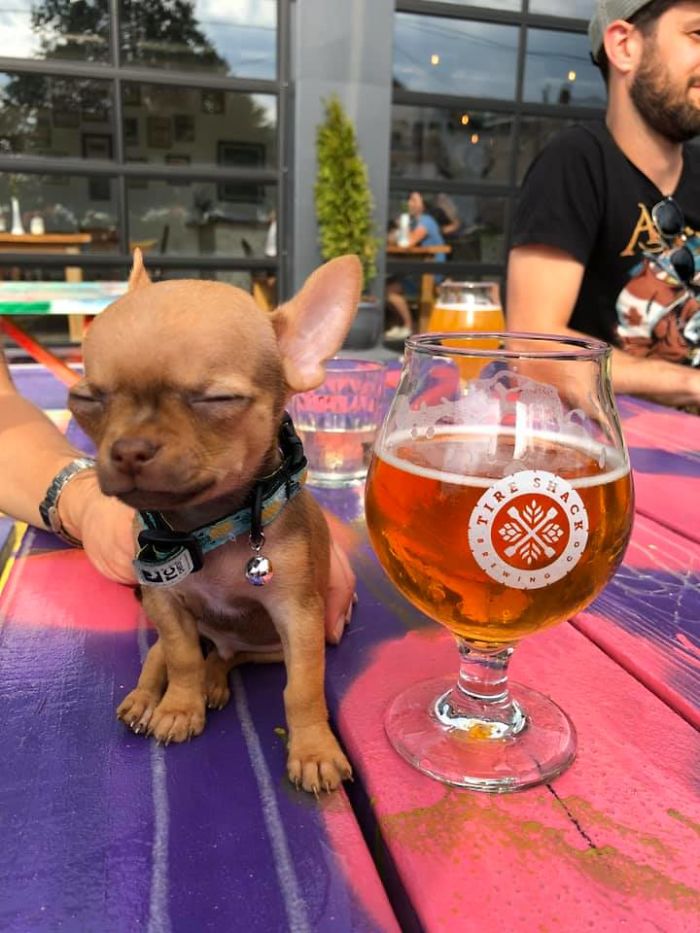 His Name Is Tito Hehe