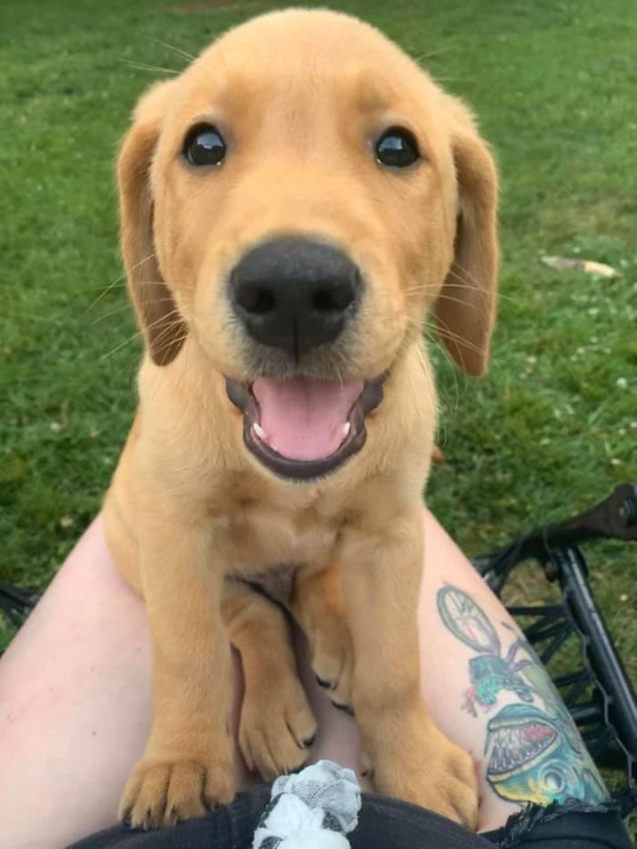 Met This Lil Nugget During A Socially Distanced Outing