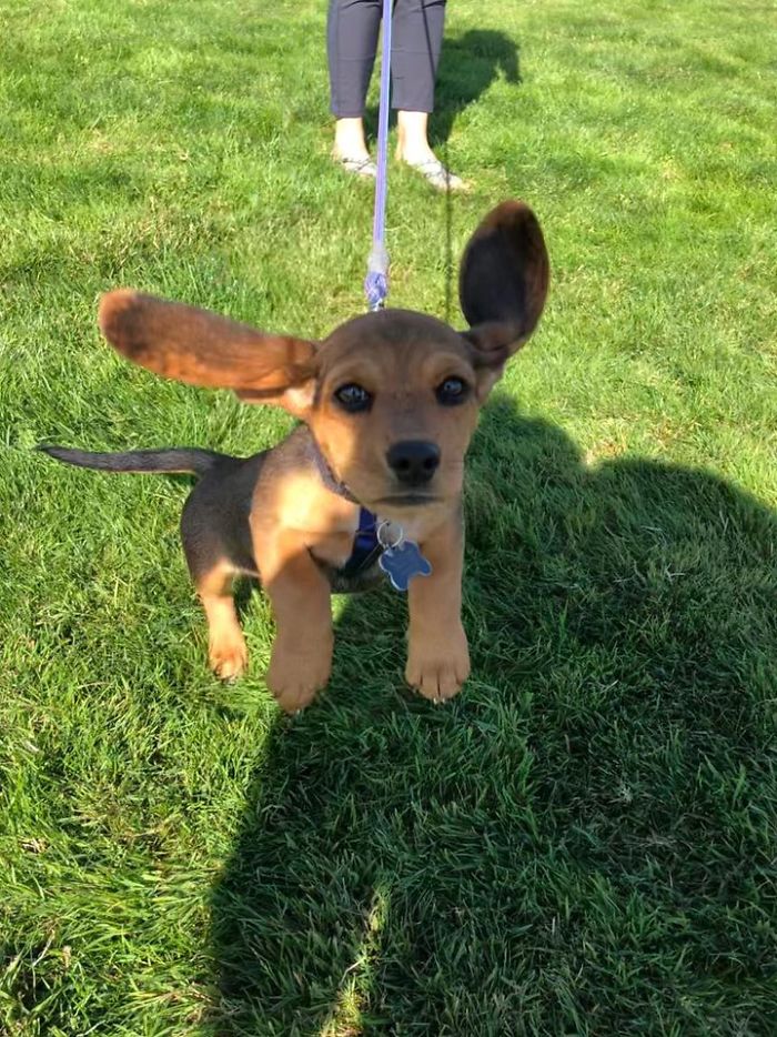 I Believe I Can Fly . . .