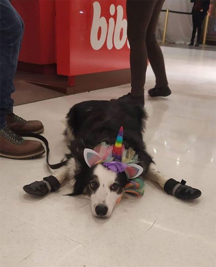 A Good Girl At The Mall. I Did A Scream. 20/10 Would Yell Again