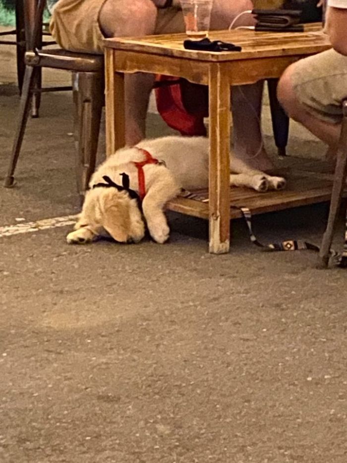 Spotted This Guy Last Night- Guess He Was Too Tired While His Friends Kept Drinking Lol