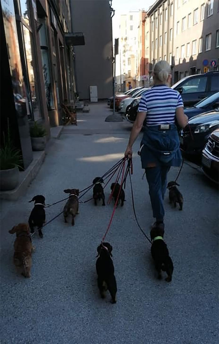 Octosausage Proxy Spot By My Friend In Our Home Of Tallinn, Estonia.