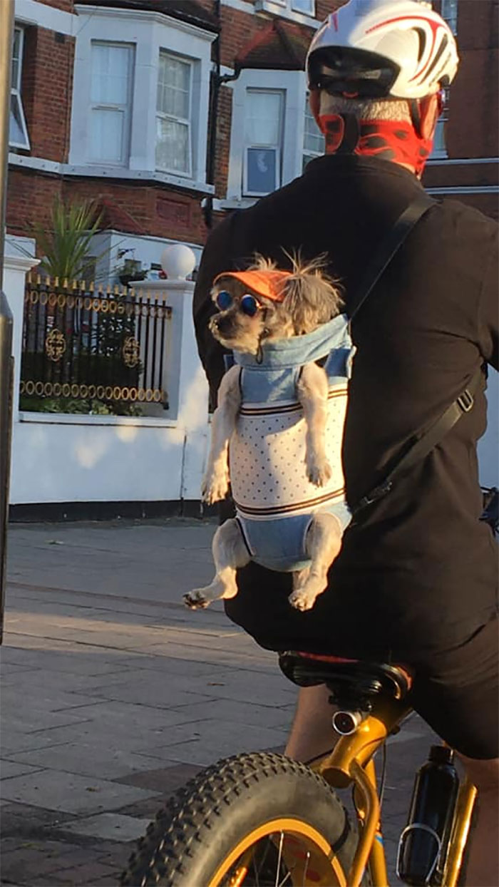 Hands Down The Coolest Dude On The Roads ~ Spotted In South West London