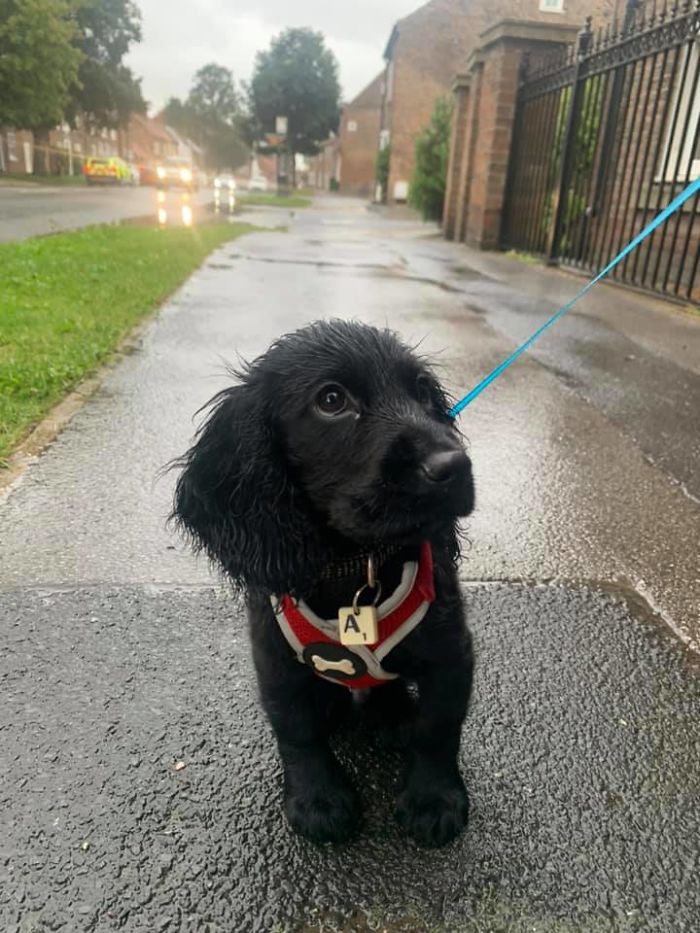 Rain Hater Spotted Hating The Rain