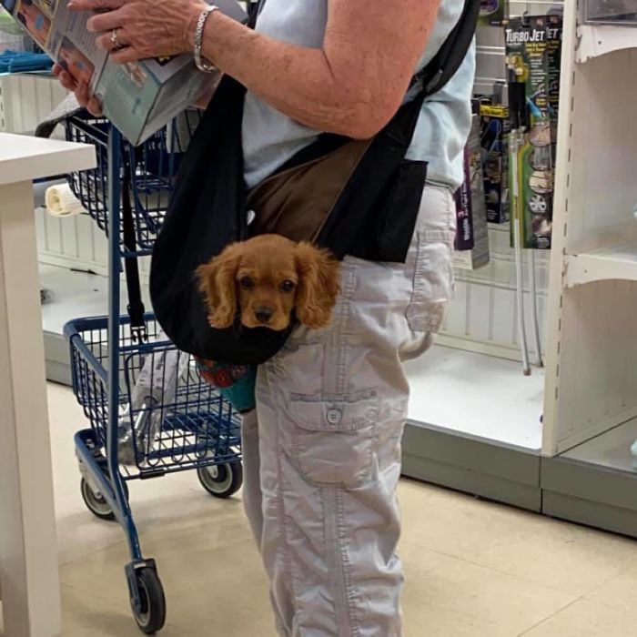 Spotted This Beautiful Face Today