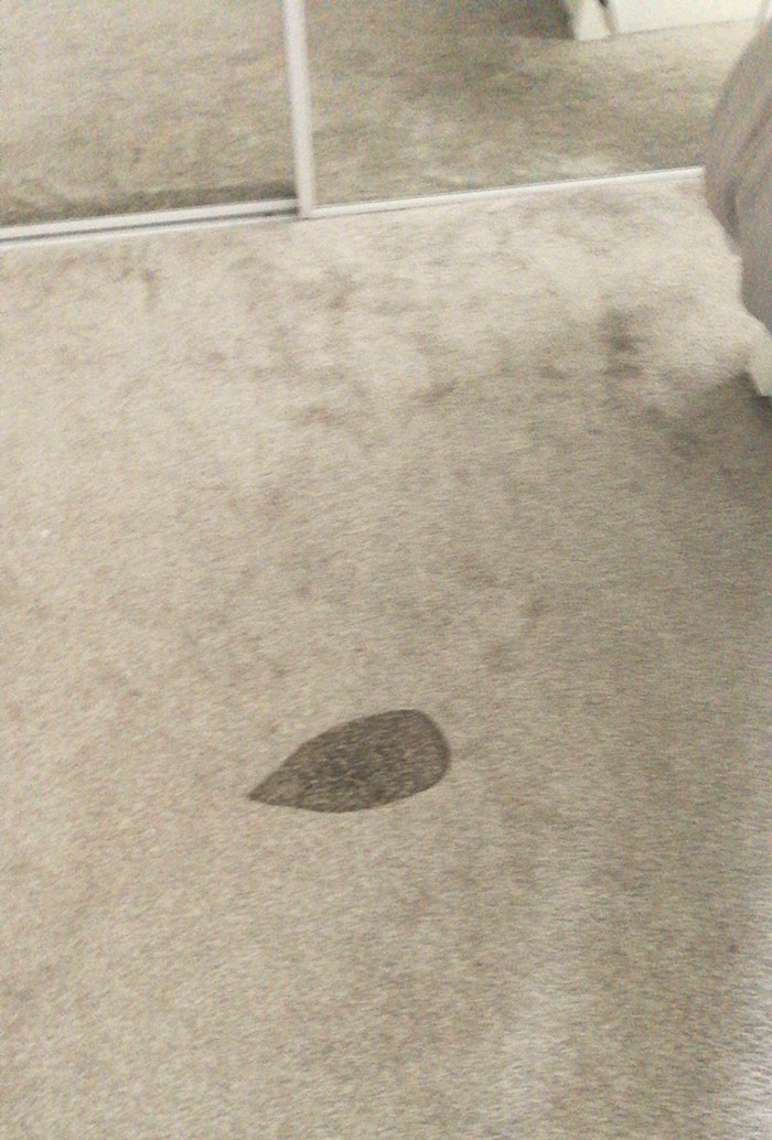 We Had Some Arts And Crafts With My 5-Year-Old Today - Need To Iron The Fabric, 5-Year-Old Tried To Iron The Carpet... Their Job Came Out Better Than Mine