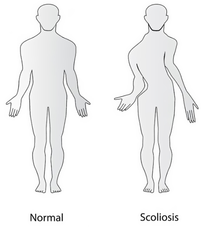 Funny-Odd-Science-Diagrams