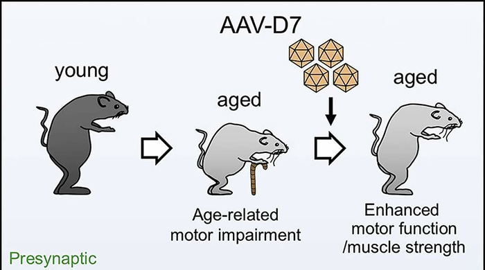 Funny-Odd-Science-Diagrams