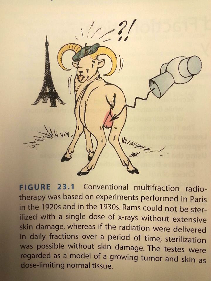 Funny-Odd-Science-Diagrams