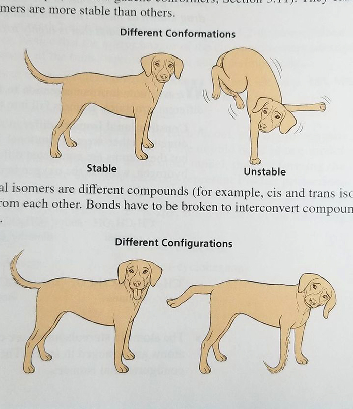 Funny-Odd-Science-Diagrams
