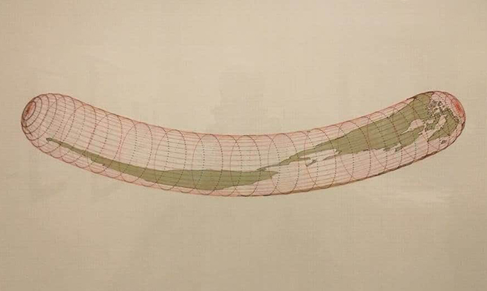 Funny-Odd-Science-Diagrams