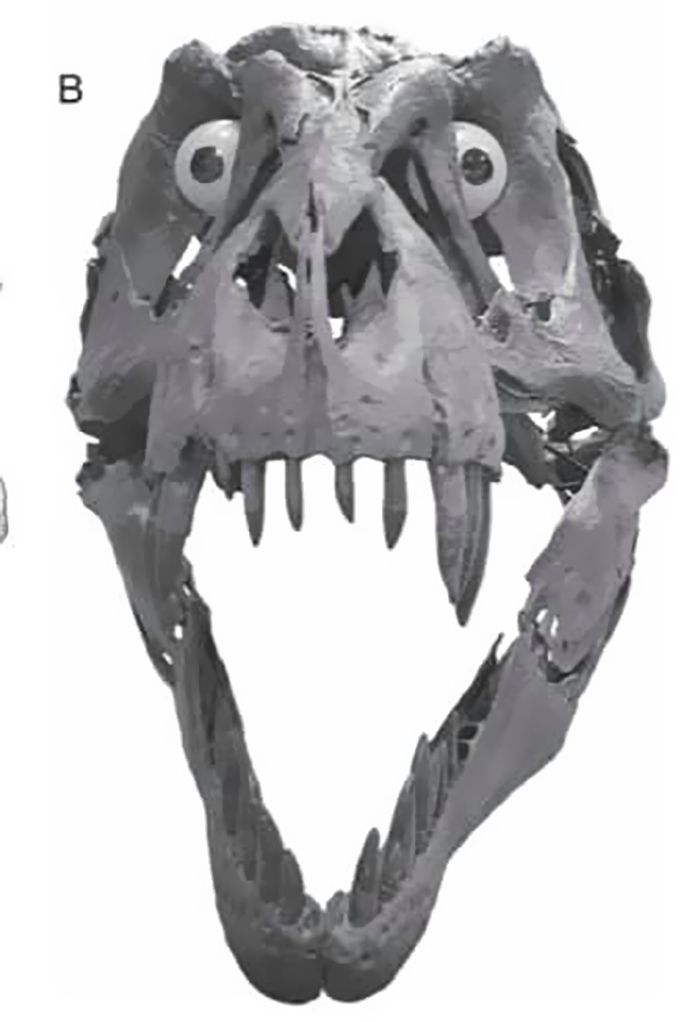 Funny-Odd-Science-Diagrams