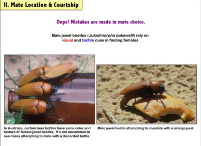 Funny-Odd-Science-Diagrams