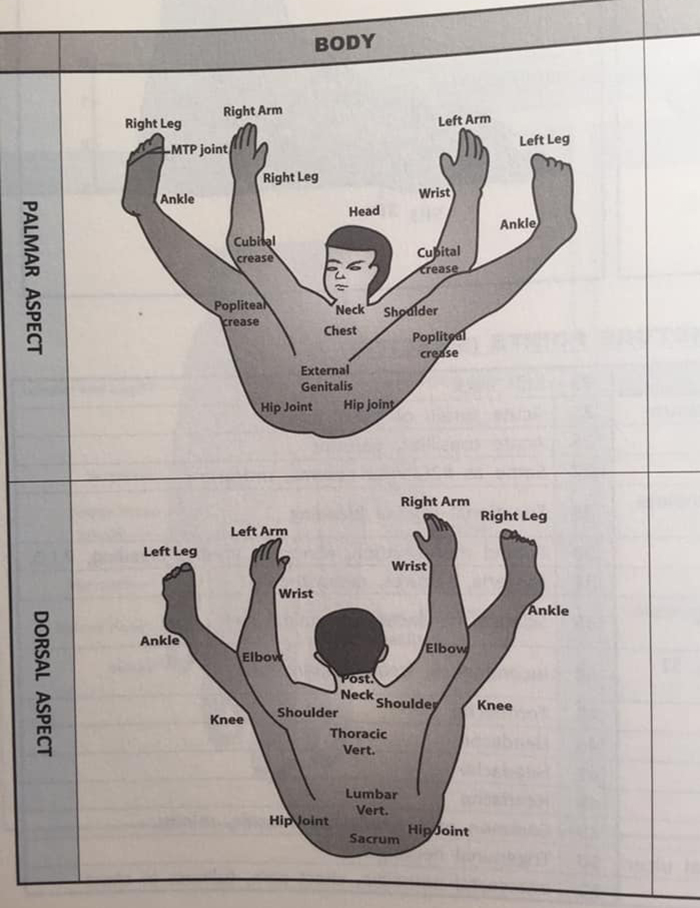 Funny-Odd-Science-Diagrams