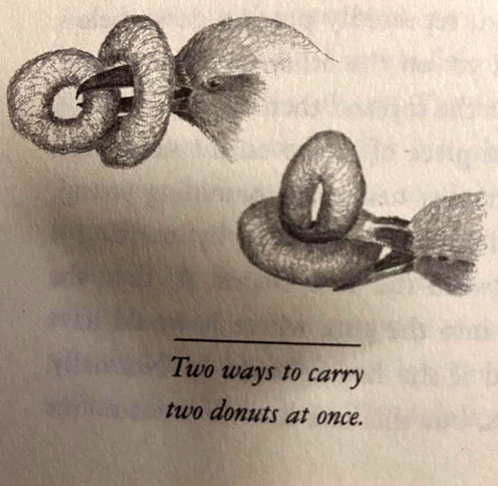 Funny-Odd-Science-Diagrams