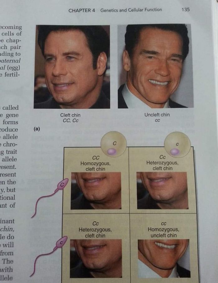 Funny-Odd-Science-Diagrams