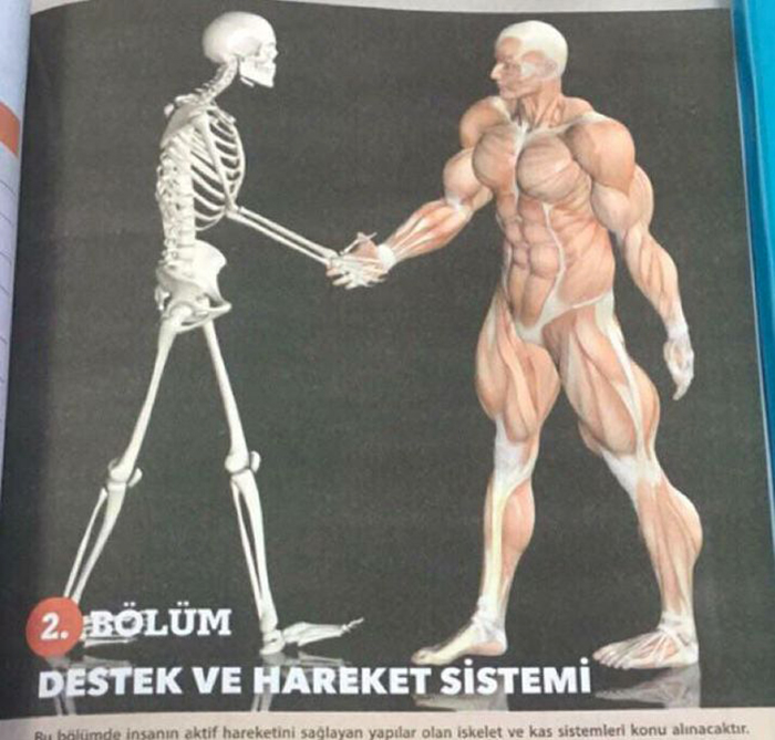 Funny-Odd-Science-Diagrams