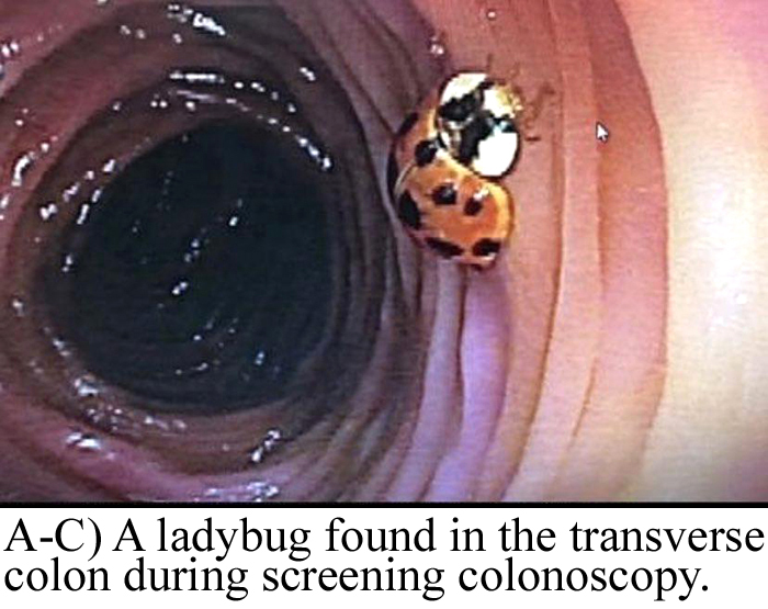 Funny-Odd-Science-Diagrams